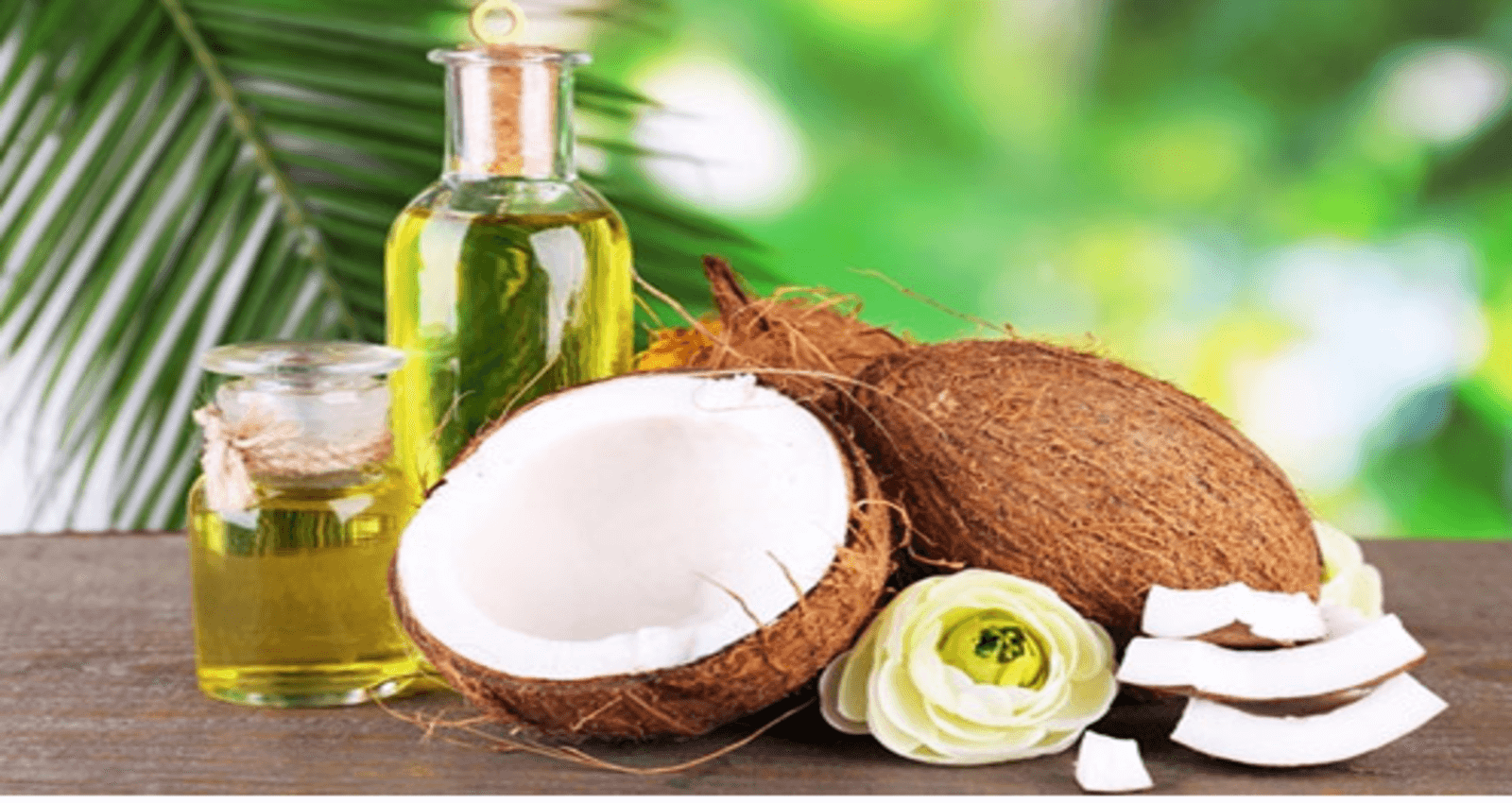 The Many Benefits of Coconut Oil - Health Hearty