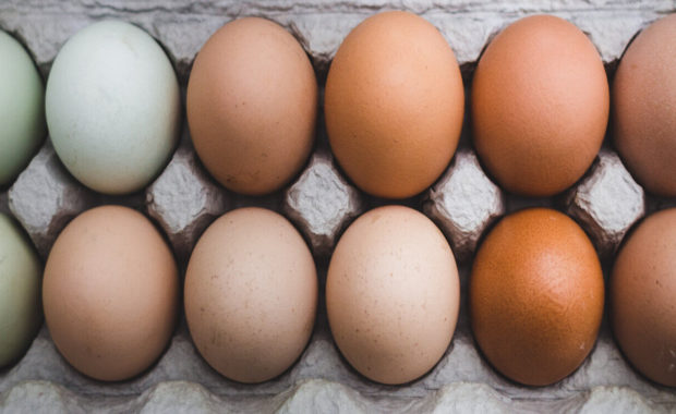 Eggs for Quiche Recipe